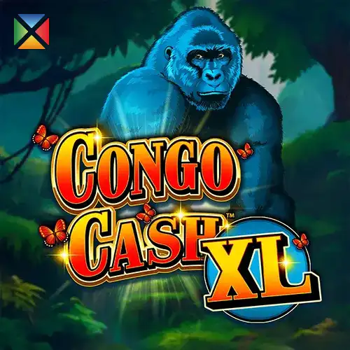 Congo Cash XL