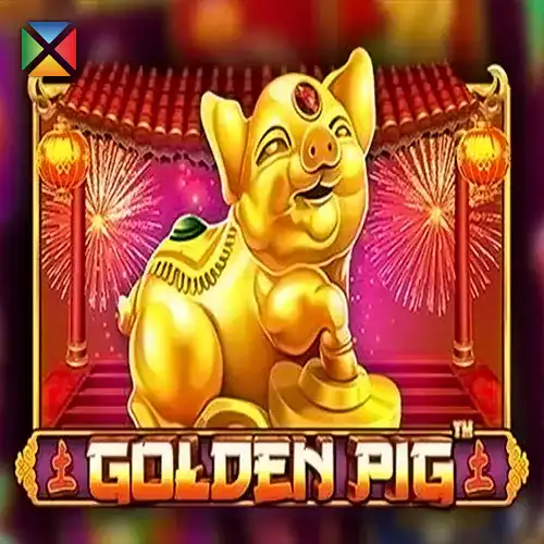 Golden Pig