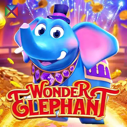 Wonder Elephant